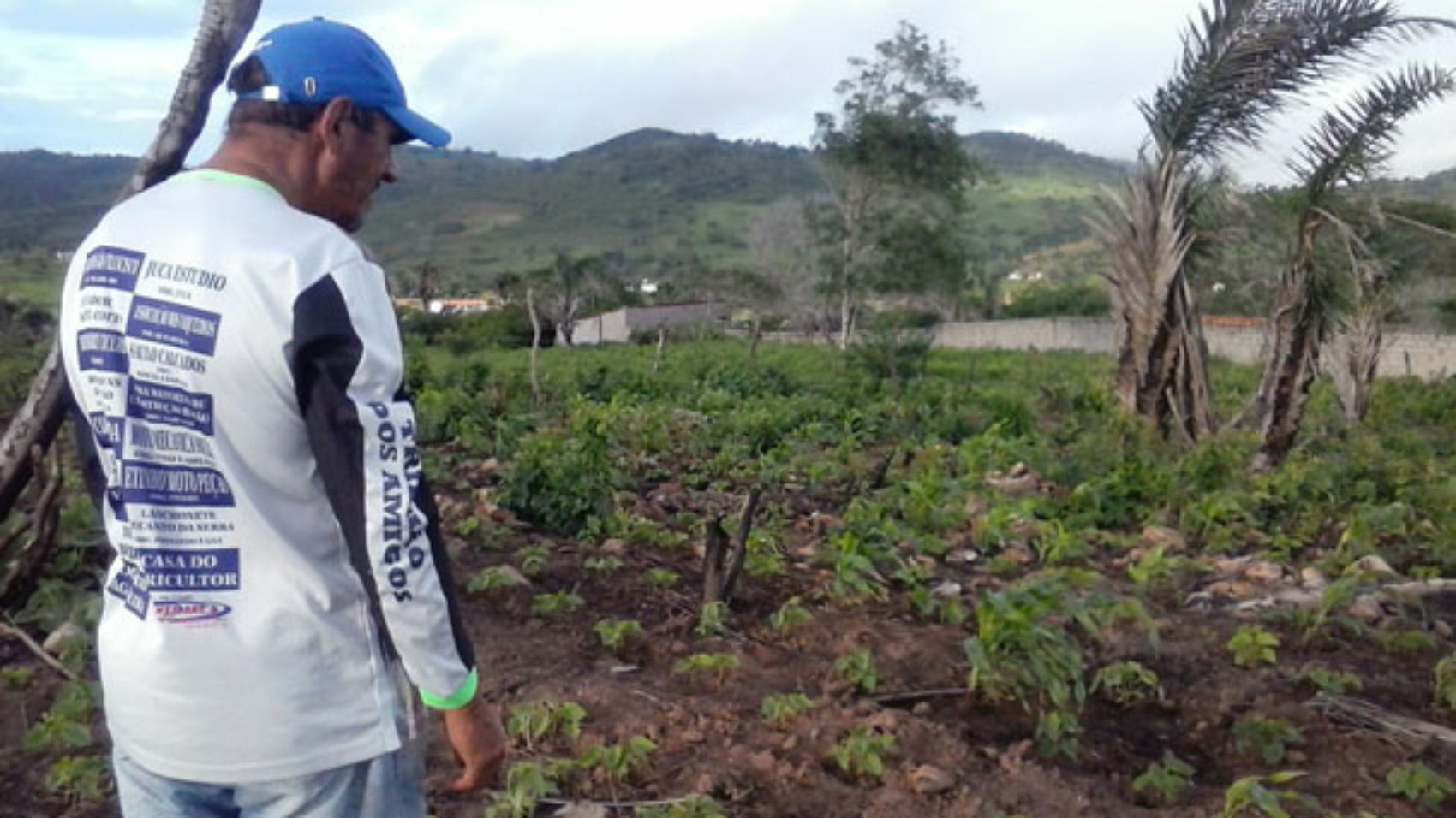 verbete-agricultura-de-subsistencia-agua-branca-7